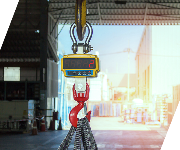 AL_Poly_bl_LargeScaleHook