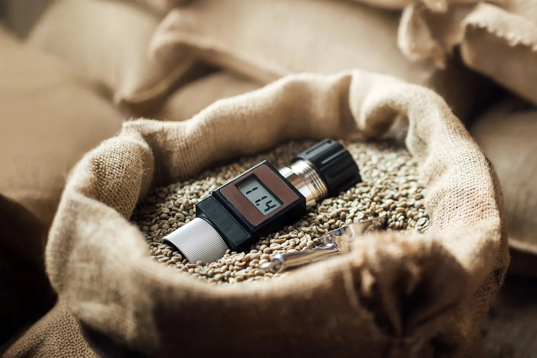 Grain moisture tester - moisture meter in burlap bag of grain
