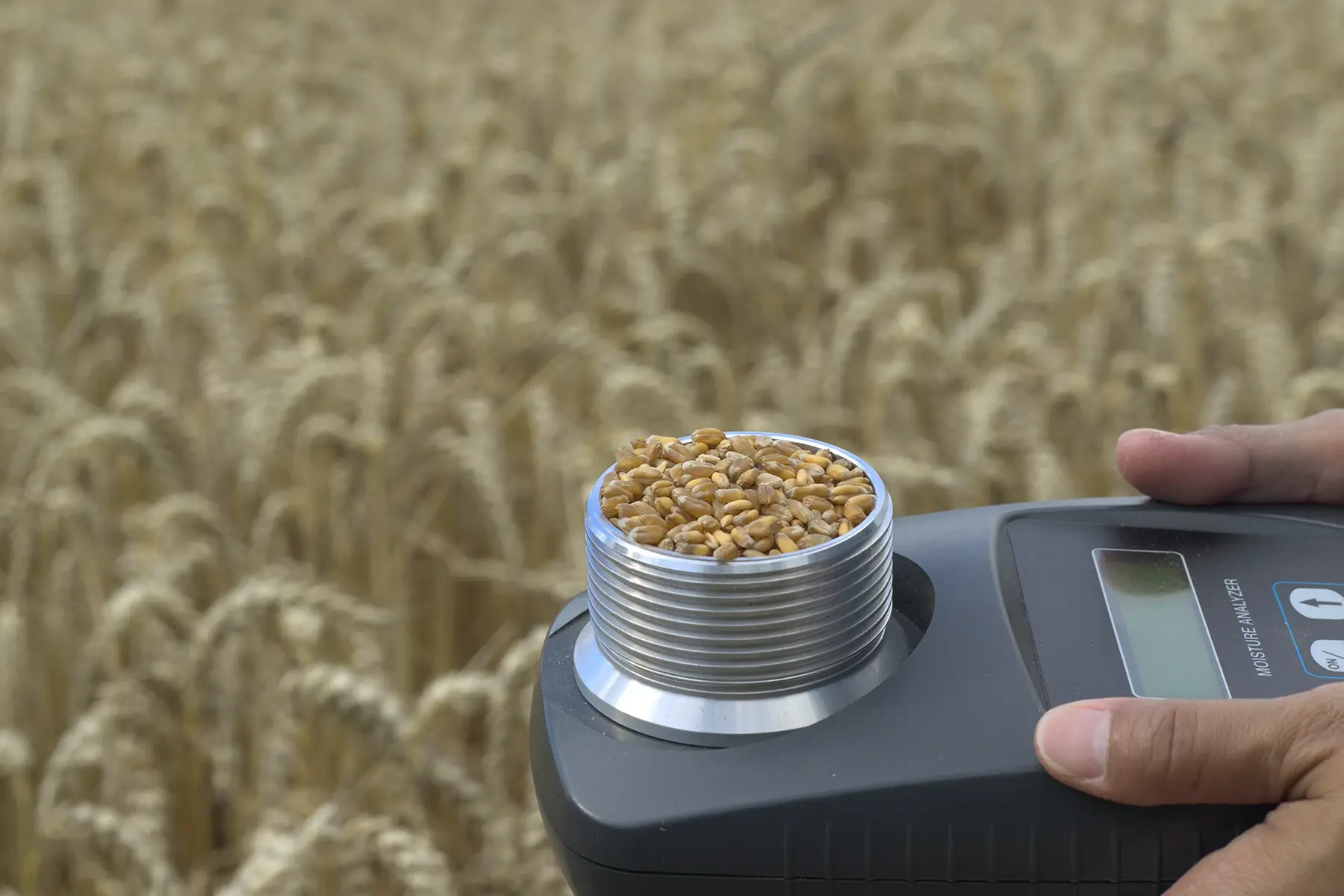 Humidity Calibration Explained: How RH Accuracy Protects Compliance