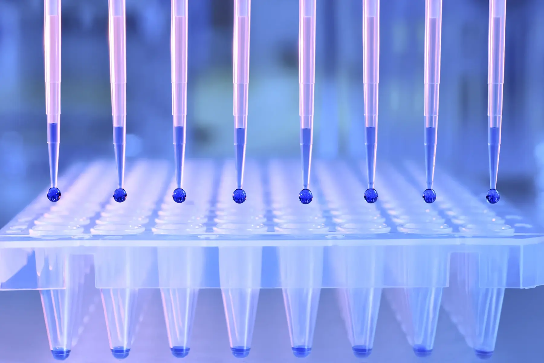 What Pipette Calibration Certificates Should Actually Include (And What to Watch For)